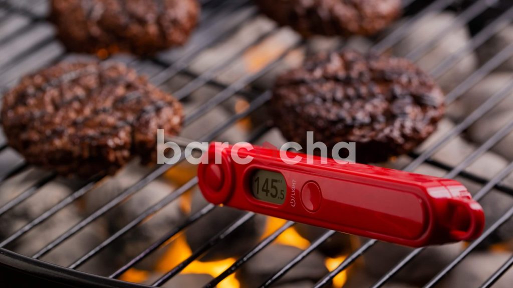 Thermometer Grill Merupakan Solusi Kekurangan Briket Arang