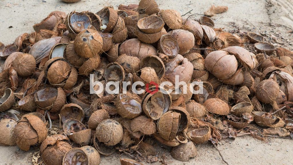 Manfaat Briket Arang Dengan Pemanfaatan Tempurung Kelapa