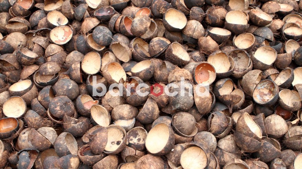 Tempurung Kelapa Menjadi Bahan Baku Briket